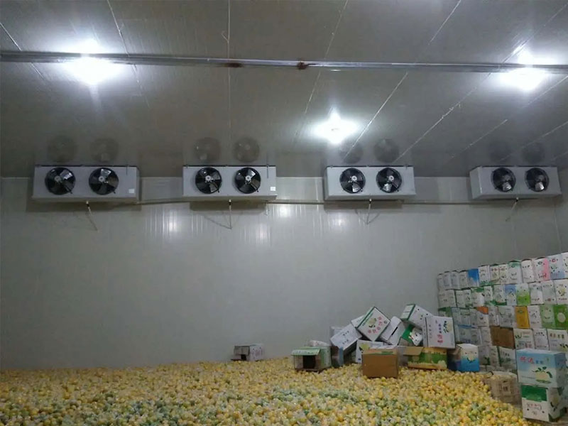 四川某果业700吨冷库项目安装